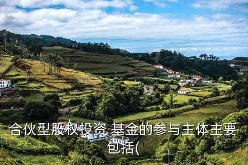 合伙型股權投資 基金的參與主體主要包括(