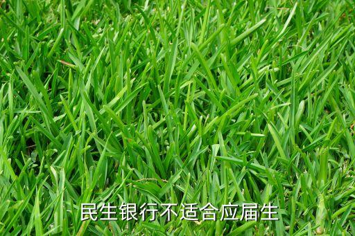  民生銀行不適合應屆生