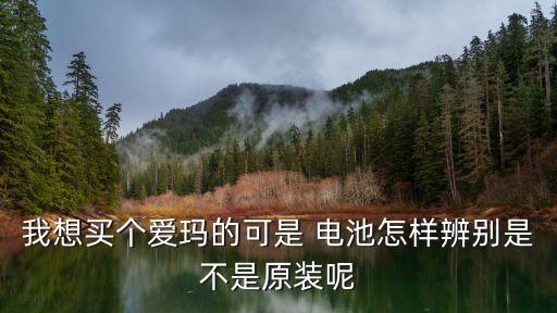 天能電池集團(tuán)有限公司募集說(shuō)明書(shū),廣州虎頭電池集團(tuán)有限公司