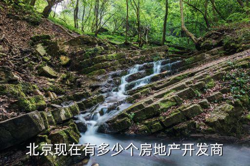 北京現在有多少個房地產開發(fā)商