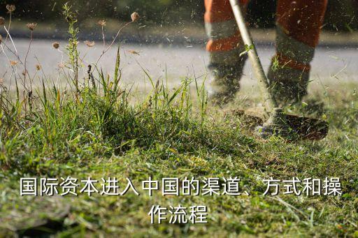  國際資本進入中國的渠道、方式和操作流程