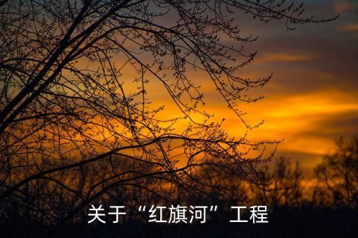 中國(guó)沒有修建水壩的河流,水壩修建在河流什么位置