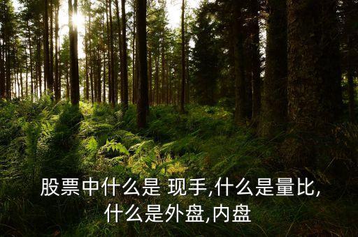  股票中什么是 現(xiàn)手,什么是量比,什么是外盤,內盤