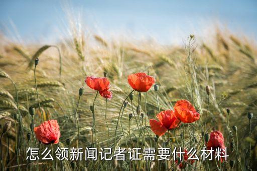 中國(guó)記者俱樂部網(wǎng),中國(guó)評(píng)論網(wǎng)記者查詢