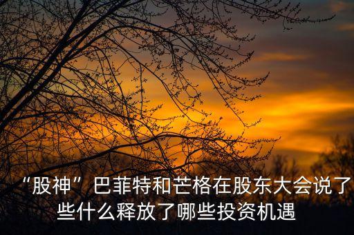 “股神”巴菲特和芒格在股東大會(huì)說了些什么釋放了哪些投資機(jī)遇