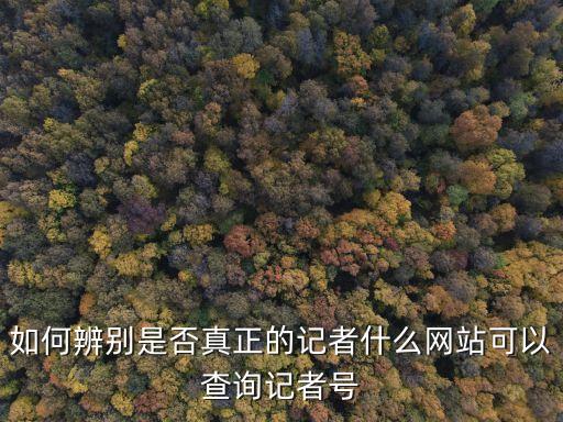 如何辨別是否真正的記者什么網站可以查詢記者號