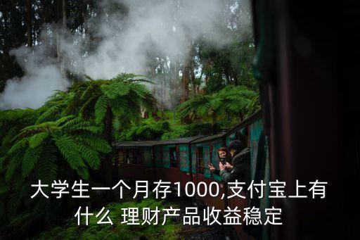 大學生一個月存1000,支付寶上有什么 理財產品收益穩(wěn)定