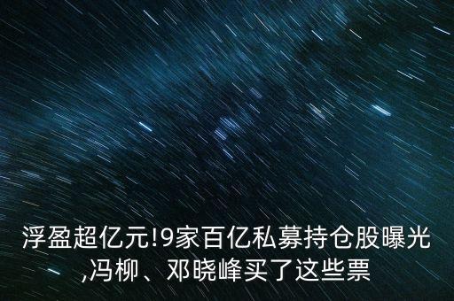 浮盈超億元!9家百億私募持倉股曝光,馮柳、鄧曉峰買了這些票