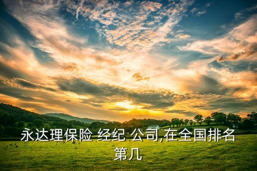 永達(dá)理保險(xiǎn) 經(jīng)紀(jì) 公司,在全國排名第幾