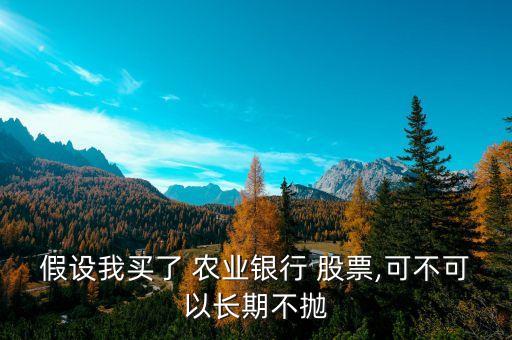 假設我買了 農業(yè)銀行 股票,可不可以長期不拋