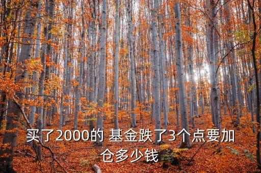 買了2000的 基金跌了3個點(diǎn)要加倉多少錢