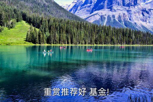 中誠(chéng)信托控股嘉實(shí)基金,嘉實(shí)基金家族信托