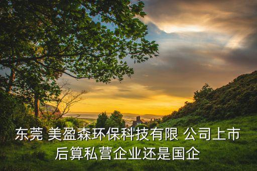 東莞 美盈森環(huán)?？萍加邢?公司上市后算私營企業(yè)還是國企
