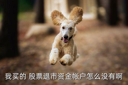 我買的 股票退市資金帳戶怎么沒(méi)有啊
