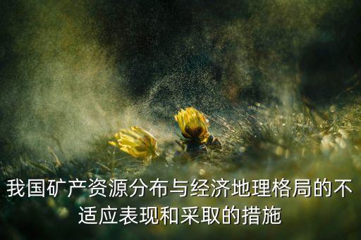 我國礦產(chǎn)資源分布與經(jīng)濟地理格局的不適應表現(xiàn)和采取的措施