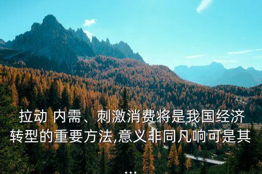 拉動 內(nèi)需、刺激消費(fèi)將是我國經(jīng)濟(jì)轉(zhuǎn)型的重要方法,意義非同凡響可是其...