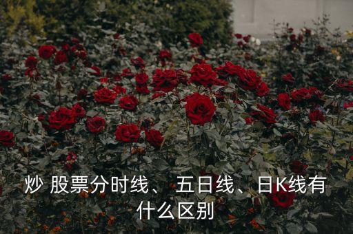 炒 股票分時線、 五日線、日K線有什么區(qū)別