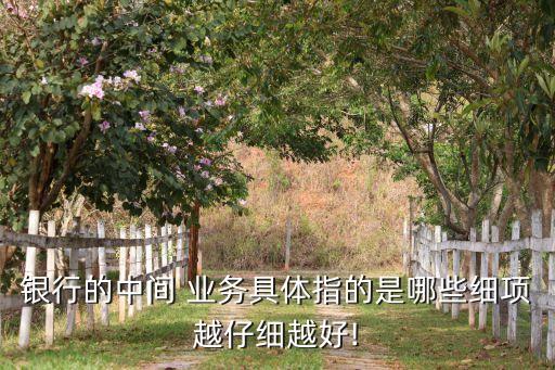 銀行的中間 業(yè)務(wù)具體指的是哪些細項越仔細越好!