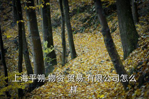 上海物資貿易股份有限公司地址,上海當當貿易股份有限公司