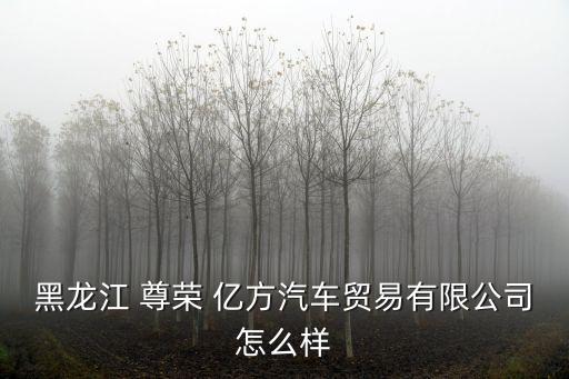 黑龍江 尊榮 億方汽車貿易有限公司怎么樣