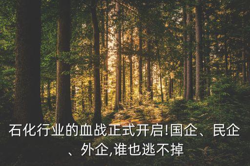 石化行業(yè)的血戰(zhàn)正式開啟!國企、民企、外企,誰也逃不掉
