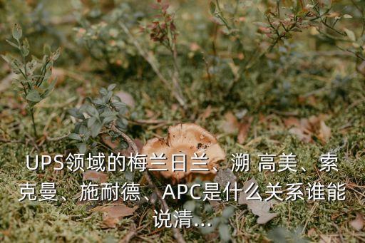 UPS領(lǐng)域的梅蘭日蘭、溯 高美、索克曼、施耐德、APC是什么關(guān)系誰能說清...