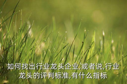 如何找出行業(yè)龍頭企業(yè),或者說(shuō),行業(yè)龍頭的評(píng)判標(biāo)準(zhǔn),有什么指標(biāo)