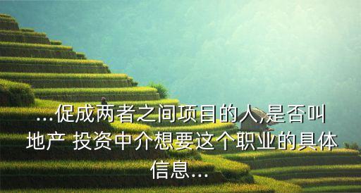 ...促成兩者之間項目的人,是否叫 地產 投資中介想要這個職業(yè)的具體信息...