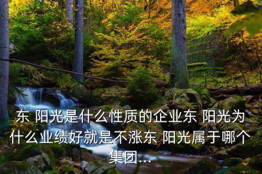 東 陽光是什么性質(zhì)的企業(yè)東 陽光為什么業(yè)績好就是不漲東 陽光屬于哪個集團(tuán)...