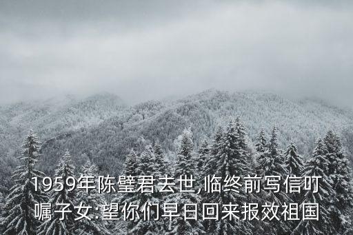 1959年陳璧君去世,臨終前寫信叮囑子女:望你們?cè)缛栈貋韴?bào)效祖國