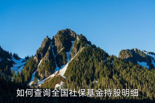 如何查詢?nèi)珖绫；鸪止擅骷?xì)
