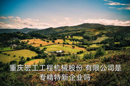  重慶宏工工程機(jī)械股份 有限公司是專(zhuān)精特新企業(yè)嗎