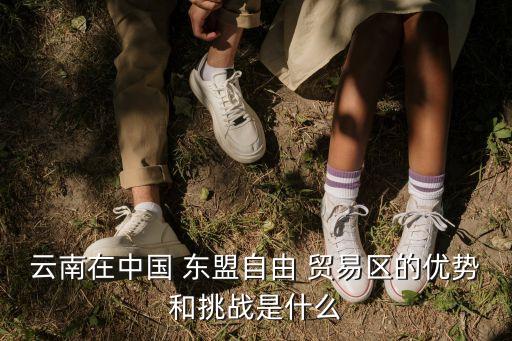 云南在中國 東盟自由 貿(mào)易區(qū)的優(yōu)勢(shì)和挑戰(zhàn)是什么