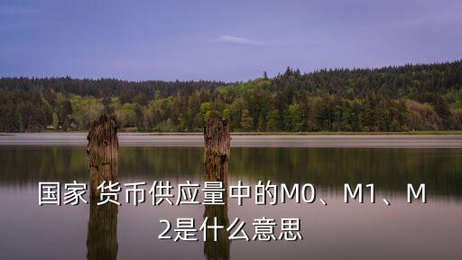 國家 貨幣供應(yīng)量中的M0、M1、M2是什么意思