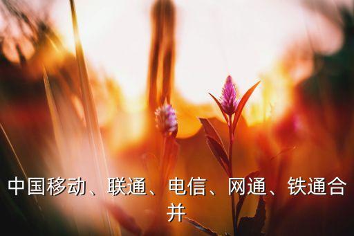 中國移動(dòng)、聯(lián)通、電信、網(wǎng)通、鐵通合并