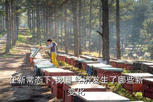 在新常態(tài)下,我國 經濟發(fā)生了哪些新變化