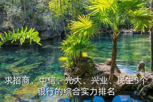 求招商、中信、光大、興業(yè)、民生5個(gè)銀行的綜合實(shí)力排名