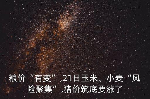 糧價(jià)“有變”,21日玉米、小麥“風(fēng)險(xiǎn)聚集”,豬價(jià)筑底要漲了