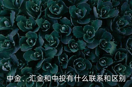 中金、匯金和中投有什么聯(lián)系和區(qū)別