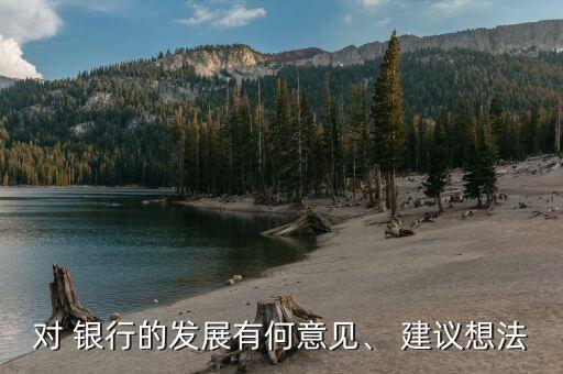 對(duì) 銀行的發(fā)展有何意見、 建議想法
