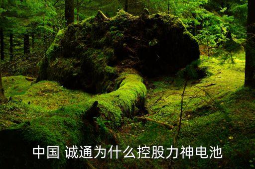 中國(guó) 誠通為什么控股力神電池
