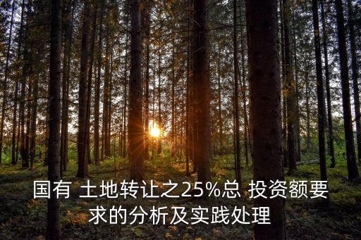 國有 土地轉(zhuǎn)讓之25%總 投資額要求的分析及實(shí)踐處理