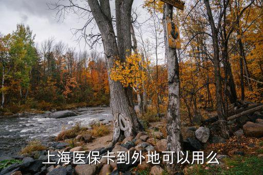 上海開通異地就醫(yī)委托報銷,上海社?？ㄔ趺撮_通異地就醫(yī)