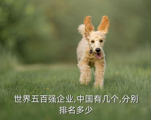  世界五百強(qiáng)企業(yè),中國有幾個(gè),分別 排名多少