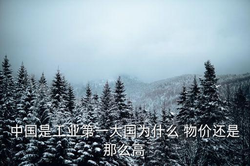 中國不承認(rèn)物價高