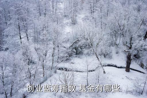 創(chuàng)業(yè)藍籌指數 基金有哪些