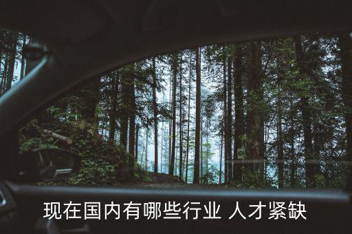 中國(guó)缺什么專(zhuān)業(yè)人才,未來(lái)十年缺什么專(zhuān)業(yè)人才