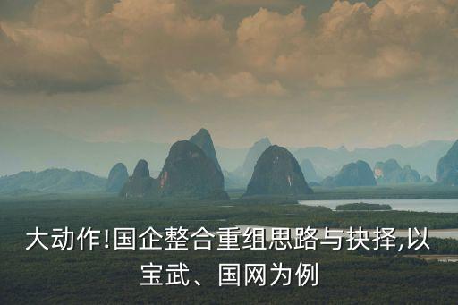 大動(dòng)作!國企整合重組思路與抉擇,以寶武、國網(wǎng)為例