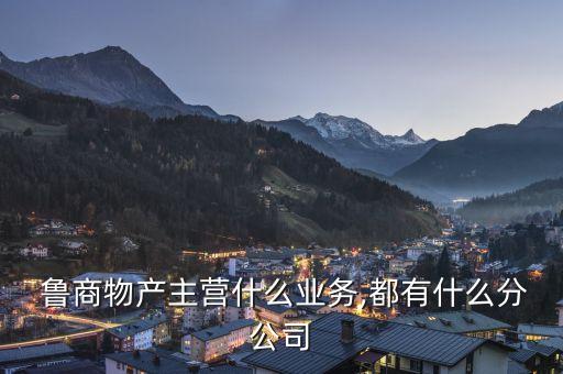  魯商物產(chǎn)主營什么業(yè)務,都有什么分公司