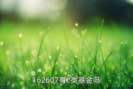162607有c類(lèi)基金嗎
